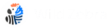 Wild Zebra
